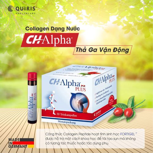 Collagen Quiris Ch Alpha Plus 03 Emsa