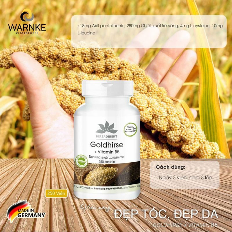 Viên Uống Chiết Xuất Kê Vàng Warnke Goldhirse Vitamin B5, 90 Viên, Đẹp Tóc, Đẹp Da - Ảnh 6